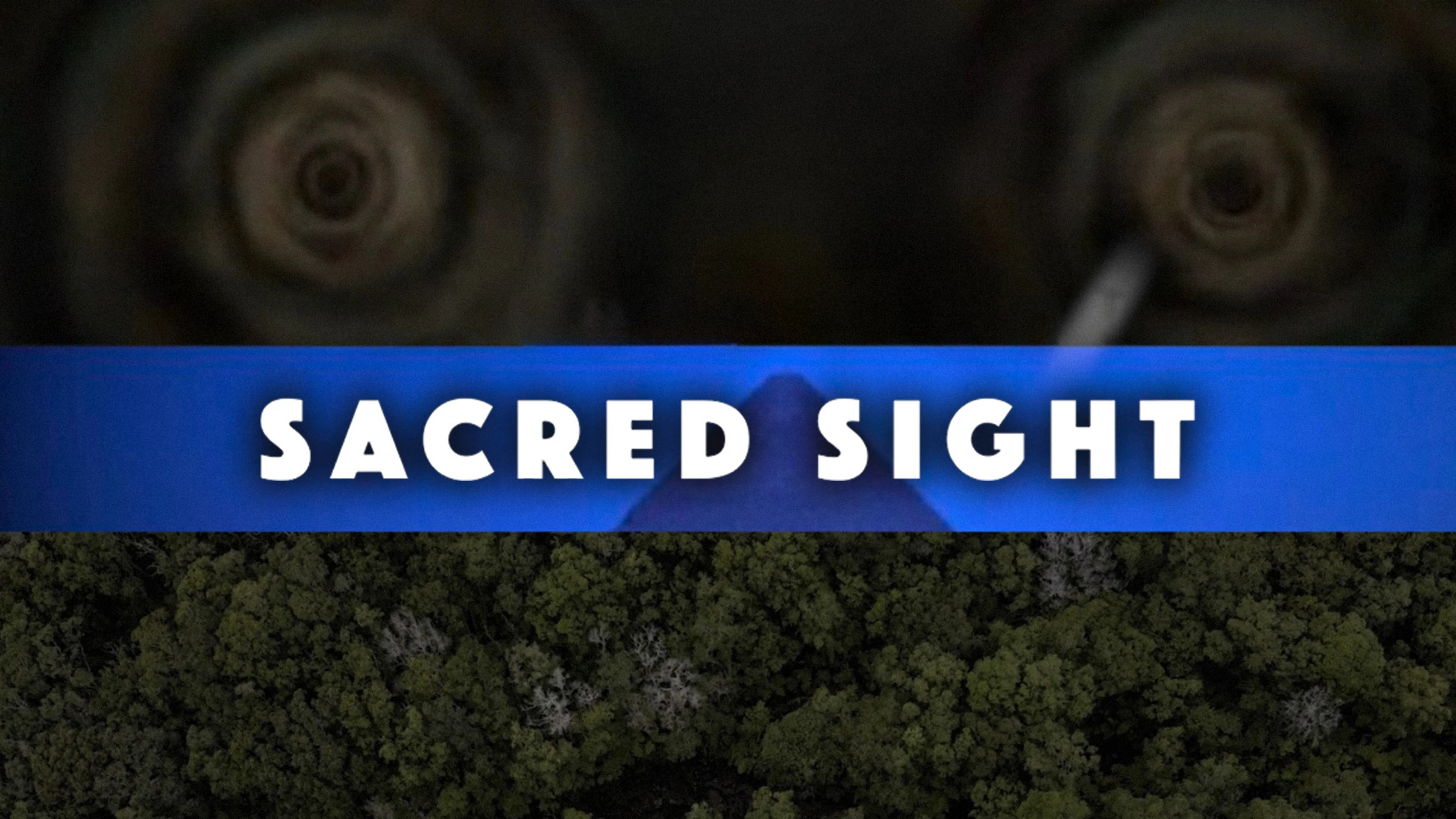 Sacred Sight poster